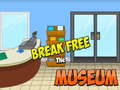 Joc Break Free The Museum