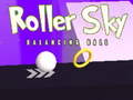 Joc Roller Sky Balance Ball