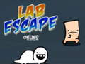 Joc Lab Escape Online
