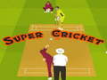 Joc Super Cricket 