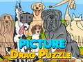 Joc Picture Drag Puzzle