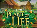 Joc Plant of Life