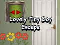 Joc Lovely Tiny Boy Escape