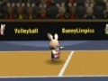 Joc Bunny volleyball