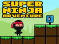 Joc Super Adventure Ninja