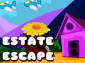 Joc Estate Escape