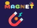 Joc Magnet 