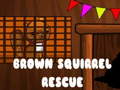 Joc Brown Squirrel Rescue