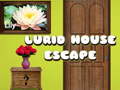 Joc Lurid House Escape