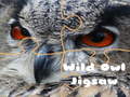 Joc Wild owl Jigsaw