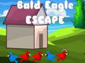 Joc Bald Eagle Escape