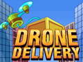 Joc Drone Delivery
