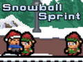 Joc Snowball Sprint