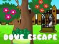 Joc Dove Escape
