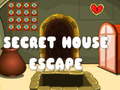 Joc Secret House Escape