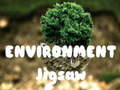 Joc Environment Jigsaw