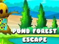 Joc Pond Forest Escape