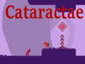 Joc Cataractae