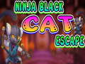 Joc Ninja Black Cat Escape