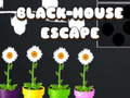 Joc Black House Escape