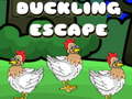 Joc Duckling Escape