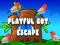 Joc Playful Boy Escape