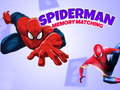 Joc Spiderman Memory Matching