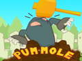 Joc Pum-Mole