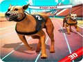 Joc Crazy Dog Race