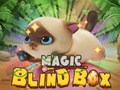 Joc Magic Blind Box