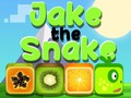 Joc Jake The Snake
