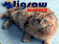 Joc Jigsaw Master 