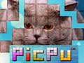 Joc PicPu Cat 