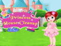 Joc Princess House Cleanup