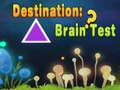 Joc Destination: Brain Test
