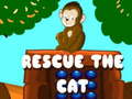 Joc Rescue The Cat