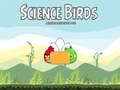 Joc Science Birds