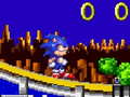 Joc Sonic Adventure Run
