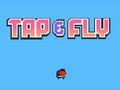 Joc Tap Fly