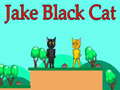Joc Jake Black Cat