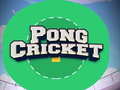 Joc Pong Cricket