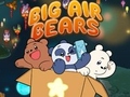 Joc Big Air Bears