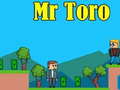 Joc Mr Toro