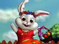 Joc Rabbit Dress Up
