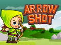 Joc Arrow Shoot