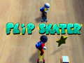 Joc Flip Skater