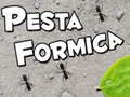 Joc Pesta Formica