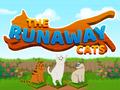 Joc The Runaway Cats