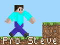 Joc Pro Steve