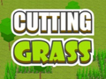 Joc Cutting Grass